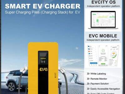 The Necessity of 24/7 Technical Support for a Commercial fast charging station